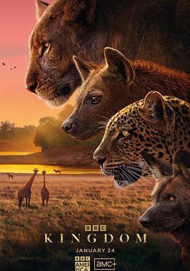 动物王国的海报