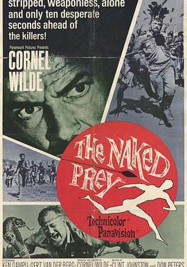 裸杀万里追的海报