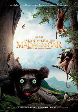 马达加斯加：狐猴之岛的海报