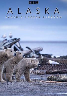 阿拉斯加：地球上的冰冻王国的海报