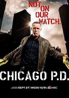 芝加哥警署 第五季的海报