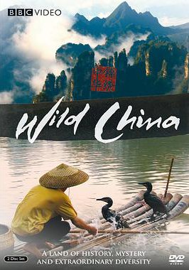 美丽中国的海报