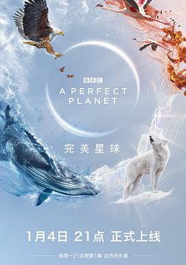 完美星球的海报