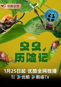 虫虫历险记的海报