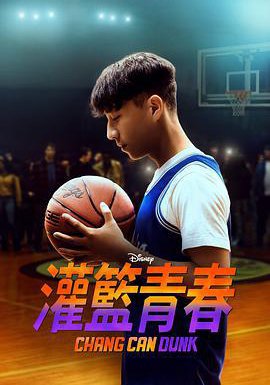 篮球少年张的海报