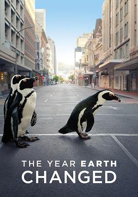 地球改变之年的海报