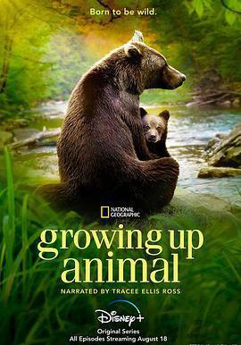 动物成长的海报