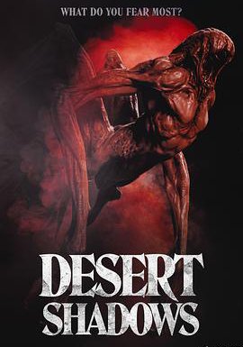 沙漠阴影的海报