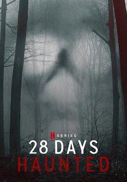 闹鬼实境28天的海报