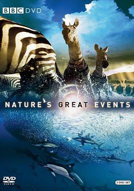 自然界大事件的海报