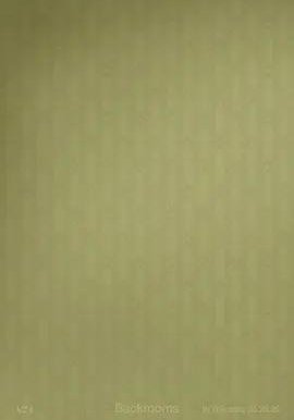 后室的海报