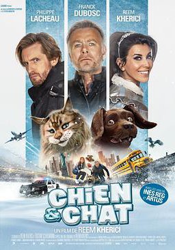 猫狗大乱斗的海报