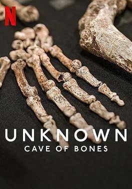 地球未知档案：骸骨洞穴的海报