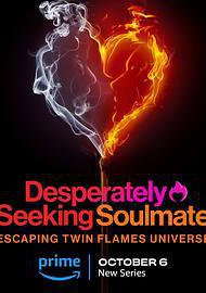 寻找灵魂伴侣：逃离双生火焰宇宙的海报