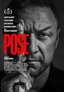 欲挽金乌的海报