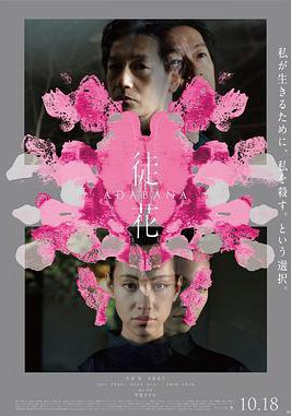 谎花的海报