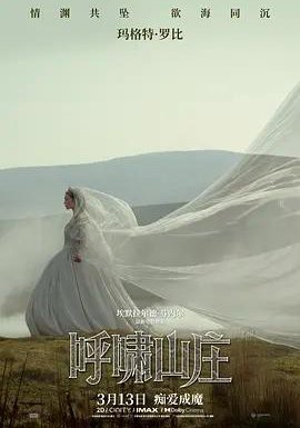 呼啸山庄的海报