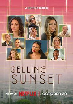 日落家园 第九季的海报